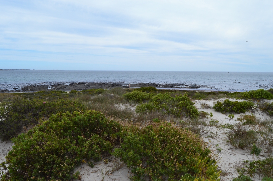 0 Bedroom Property for Sale in Shelley Point Western Cape